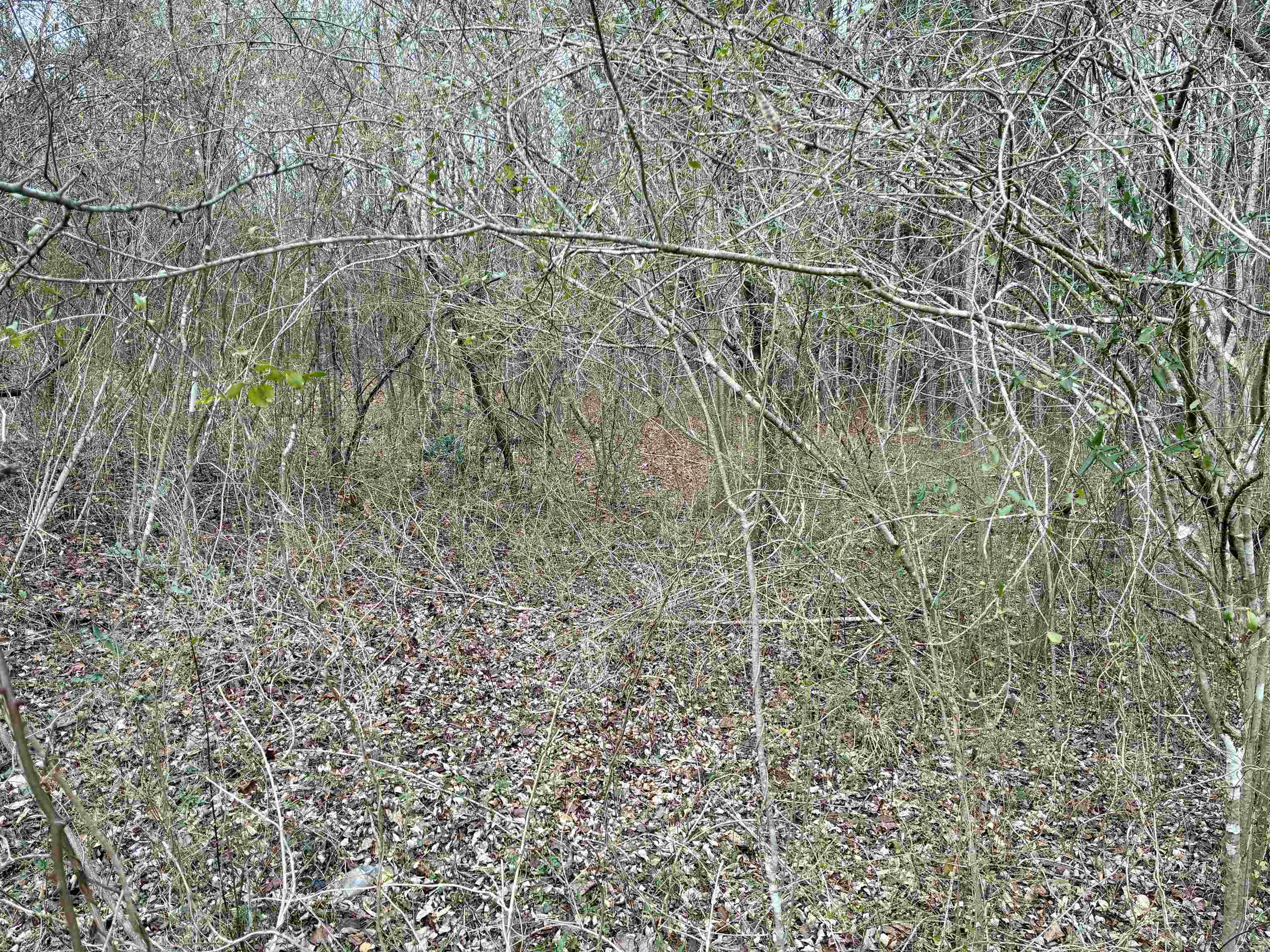 0 James N Hovater Rd