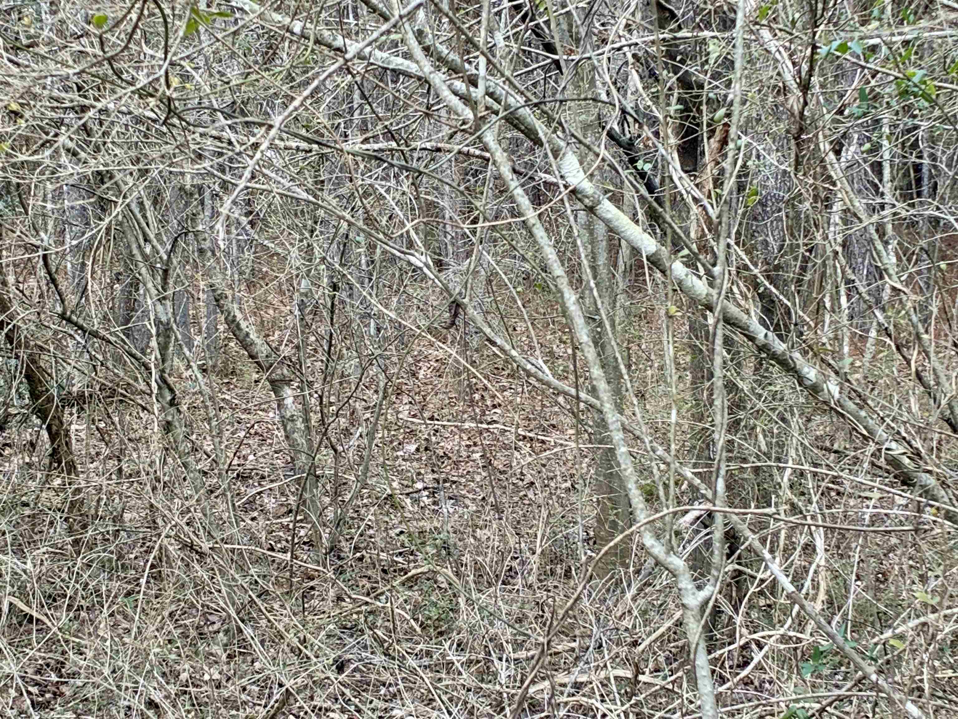 0 James N Hovater Rd